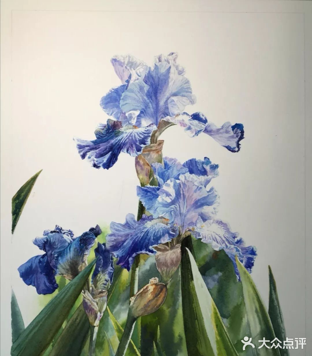 水彩画家付愈水彩静物[礼花][礼花]
