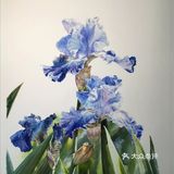 水彩画家付愈水彩静物[礼花][礼花]