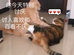 -贝儿多爸爸泡芙(合生汇店)