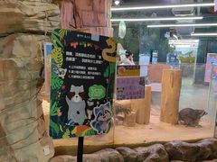 -正佳雨林生态植物园