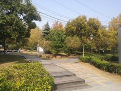 -山东外贸职业学院