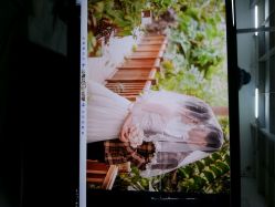 点击看大图 android_upload_pic-戛纳印象摄影(潮拍定制馆)