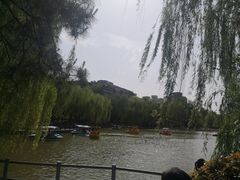 -莲湖公园