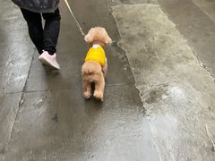 -人间烟火烧烤(罗庄店)