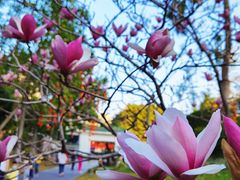 -晓港公园