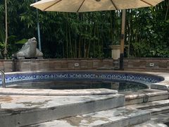 -碧水湾温泉