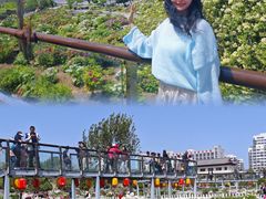 -曹州百花园