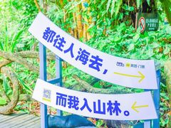 -呀诺达热带雨林