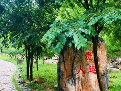 -十渡东湖港风景区