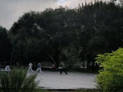 -望湖公园