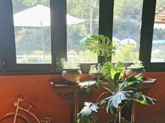 -Local泰莲庭(虹鳟鱼店)