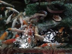 -北京海洋馆