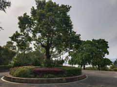 -福建鲤鱼洲酒店