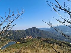 -军营村