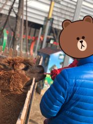 -萌宠亲子动物乐园(槐房万达店)