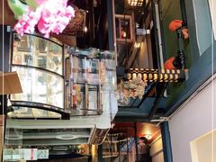 -萨尔瓦多Salvador's