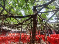 -红螺寺