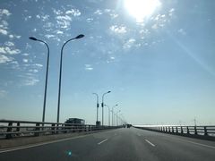 -洋山深水港