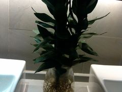 -深圳皇庭V酒店