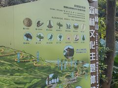 -广州市帽峰山景区
