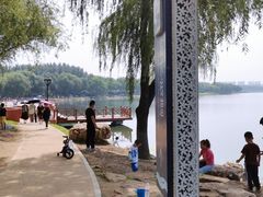 -丁香湖公园