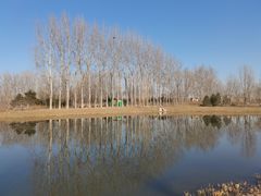 -东郊湿地公园