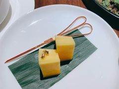 凯特芒果-觀芷隐轩