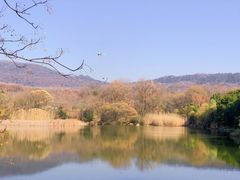 -钟山体育运动公园