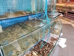 -蟹谢蒸鲜自助餐厅