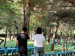 -尚庄度假村·庭台树下·户外烧烤·团建CS·轰趴营地(上庄水库店)