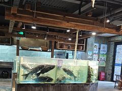 -丹江渔村(首都机场店)