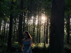 -黄海国家森林公园