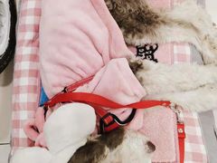 -FAELING PETS美天灵宠物(富力广场店)