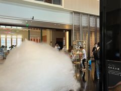 -成都安仁福朋喜来登酒店