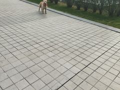 -南丰汇(新港东路店)