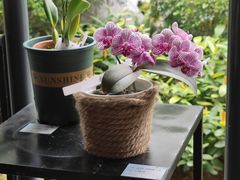 -云溪植物园