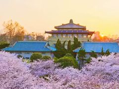 -武汉大学-樱园