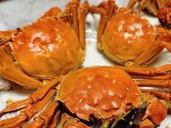 -蟹小姐节气生鲜·年货(高新店)