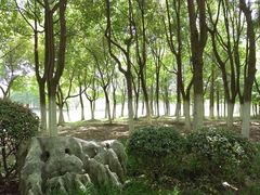 -滨湖塘西河公园