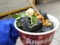 -黑色经典臭豆腐·湖南特产(坡子街店)
