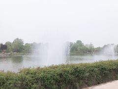 -曹州牡丹园