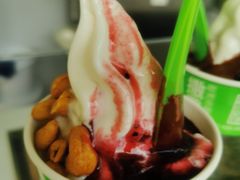 -Salud撒露欧洲冻酸奶(蓝色港湾店)