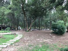 -南宁良凤江国家森林公园