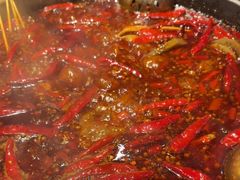 -蜀大侠火锅(总府路店)