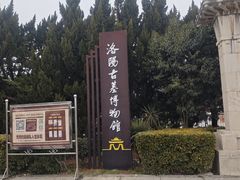 -洛阳古墓博物馆