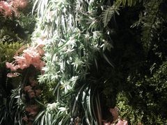 景观位-南城十里潮汕鲜牛火锅·鲜虾生滚粥(融汇老商埠店)