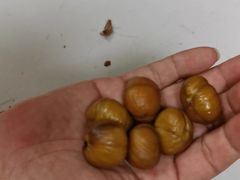 -栗栗香糖炒栗子(红勤楼店)