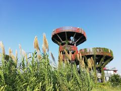 -芒洲湿地公园