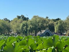 -长春市南湖公园