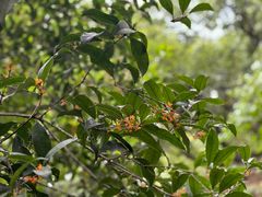 -宁波市保国寺古建筑博物馆